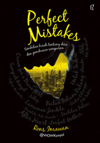 Image of Perfect Mistakes