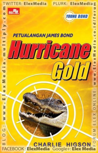 Image of Hurricane Gold
